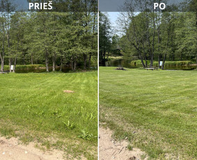 Vejos, pievų, šienavimas / Erikas Dunecas / Darbų pavyzdys ID 3955622