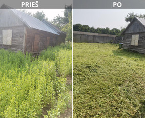 Pievų šienavimas - Žolės Pjovimas Su Trimeriu Ir Žoliapjove - 1