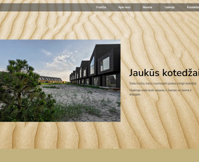 Interneto svetainių kūrimas, El. parduotuvių kūrimas / Jonas / Darbų pavyzdys ID 3956220