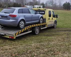 Tralas Traliukas Techninė Pagalba Kelyje Kaunas-lietuva / Rimvio_traliukas / Darbų pavyzdys ID 3956488