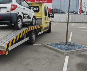 Tralas Traliukas Techninė Pagalba Kelyje Kaunas-lietuva / Rimvio_traliukas / Darbų pavyzdys ID 3956526