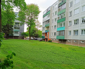 Langų, vitrinų valymas. Žolės pjovimas. - Buitinės paslaugos - 4 Buitinės paslaugos - Langų, vitrinų valymas. Žolės pjovimas. - 4