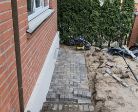 Trinkelių klojimas / Dovydas / Darbų pavyzdys ID 3957684