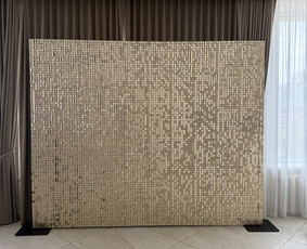 Šampaninė foto siena 2,4 m. x 3 m.