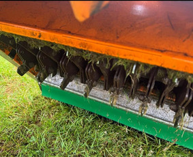 Aplinka, sodas - Vejos prieziura - 3