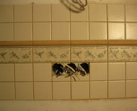 Meistras į namus. NT ( ekspertas) Kęstutis / Kęstutis / Darbų pavyzdys ID 3959558