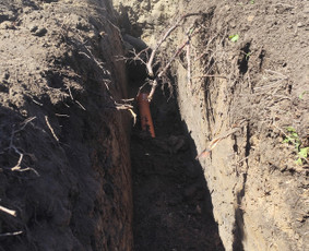 Lietaus nuotekų, vietinės kanalizacijos ir drenažo įrengimas - Buitinės paslaugos - 3 Buitinės paslaugos - Lietaus nuotekų, vietinės kanalizacijos ir drenažo įrengimas - 3