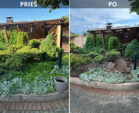 Želdynų projektavimas, įrengimas, priežiūra ir konsultacijos - Gyvatvorių karpymas - 2 Gyvatvorių karpymas - Želdynų projektavimas, įrengimas, priežiūra ir konsultacijos - 2