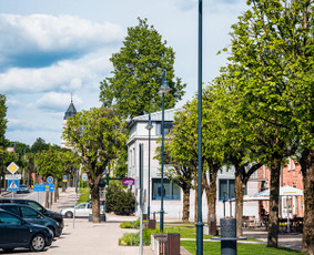 Nt, renginiu, portretų ir mados fotografija. / Maksim Ivanov / Darbų pavyzdys ID 3961444