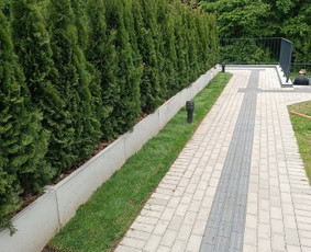 Kokybiškas aplinkos tvarkymas / Aplinkos pulsas / Darbų pavyzdys ID 3962238