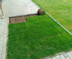 Kokybiškas aplinkos tvarkymas / Aplinkos pulsas / Darbų pavyzdys ID 3962244