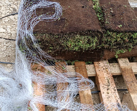 Kokybiškas aplinkos tvarkymas / Aplinkos pulsas / Darbų pavyzdys ID 3962252