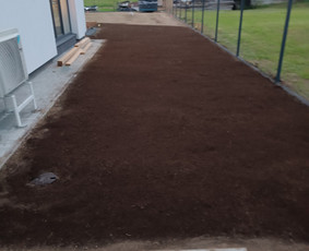 "Aplinkos pulsas" kokybiškas aplinkos tvarkymas - Vejos įrengimas: sėjimas, ruloninė veja - 2 Vejos įrengimas: sėjimas, ruloninė veja - "Aplinkos pulsas" kokybiškas aplinkos tvarkymas - 2