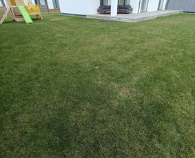 Kokybiškas aplinkos tvarkymas / Aplinkos pulsas / Darbų pavyzdys ID 3962272
