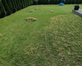 Kokybiškas aplinkos tvarkymas / Aplinkos pulsas / Darbų pavyzdys ID 3962282