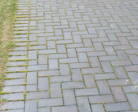 Kokybiškas aplinkos tvarkymas / Aplinkos pulsas / Darbų pavyzdys ID 3962290