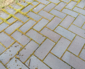 Kokybiškas aplinkos tvarkymas / Aplinkos pulsas / Darbų pavyzdys ID 3962292