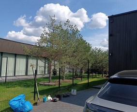 Kokybiškas aplinkos tvarkymas / Aplinkos pulsas / Darbų pavyzdys ID 3962302