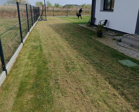 Kokybiškas aplinkos tvarkymas / Aplinkos pulsas / Darbų pavyzdys ID 3962316
