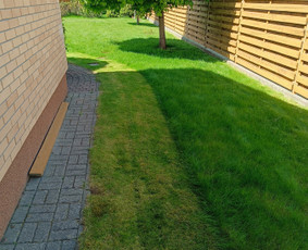 Kokybiškas aplinkos tvarkymas / Aplinkos pulsas / Darbų pavyzdys ID 3962364