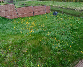 Kokybiškas aplinkos tvarkymas / Aplinkos pulsas / Darbų pavyzdys ID 3962382