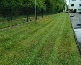 Kokybiškas aplinkos tvarkymas / Aplinkos pulsas / Darbų pavyzdys ID 3962410
