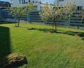 Kokybiškas aplinkos tvarkymas / Aplinkos pulsas / Darbų pavyzdys ID 3962418