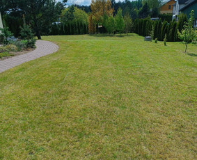 Kokybiškas aplinkos tvarkymas / Aplinkos pulsas / Darbų pavyzdys ID 3962422