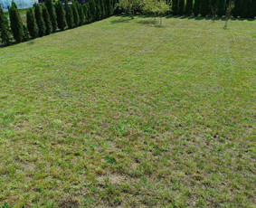 Kokybiškas aplinkos tvarkymas / Aplinkos pulsas / Darbų pavyzdys ID 3962426