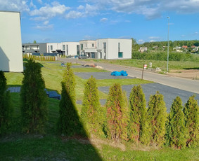 Kokybiškas aplinkos tvarkymas / Aplinkos pulsas / Darbų pavyzdys ID 3962440
