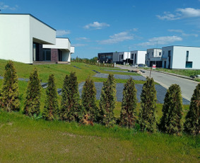 Kokybiškas aplinkos tvarkymas / Aplinkos pulsas / Darbų pavyzdys ID 3962444