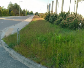 Kokybiškas aplinkos tvarkymas / Aplinkos pulsas / Darbų pavyzdys ID 3962456