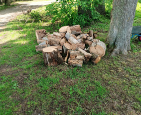 Apleistų sklypų tvarkymas - "Aplinkos pulsas" Kokybi&scaron;kas aplinkos tvarkymas - 1