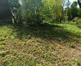 Kokybiškas aplinkos tvarkymas / Aplinkos pulsas / Darbų pavyzdys ID 3962462