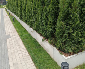 Kokybiškas aplinkos tvarkymas / Aplinkos pulsas / Darbų pavyzdys ID 3962466