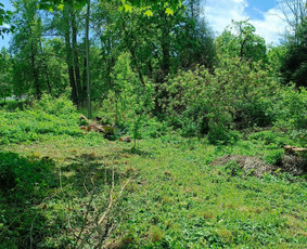 Kokybiškas aplinkos tvarkymas / Aplinkos pulsas / Darbų pavyzdys ID 3962472