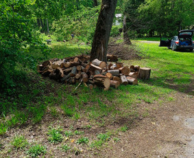 Kokybiškas aplinkos tvarkymas / Aplinkos pulsas / Darbų pavyzdys ID 3962474