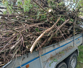 Kokybiškas aplinkos tvarkymas / Aplinkos pulsas / Darbų pavyzdys ID 3962480