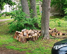 Kokybiškas aplinkos tvarkymas / Aplinkos pulsas / Darbų pavyzdys ID 3962484