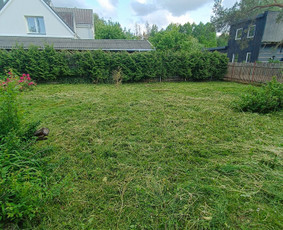 Kokybiškas aplinkos tvarkymas / Aplinkos pulsas / Darbų pavyzdys ID 3962500