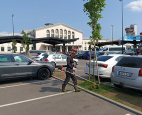 Kokybiškas aplinkos tvarkymas / Aplinkos pulsas / Darbų pavyzdys ID 3962518