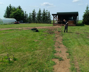 Kokybiškas aplinkos tvarkymas / Aplinkos pulsas / Darbų pavyzdys ID 3962524