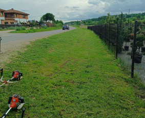 Kokybiškas aplinkos tvarkymas / Aplinkos pulsas / Darbų pavyzdys ID 3962558