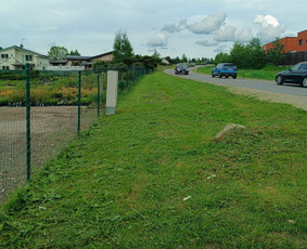 Kokybiškas aplinkos tvarkymas / Aplinkos pulsas / Darbų pavyzdys ID 3962560