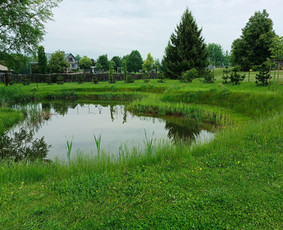 Kokybiškas aplinkos tvarkymas / Aplinkos pulsas / Darbų pavyzdys ID 3962566