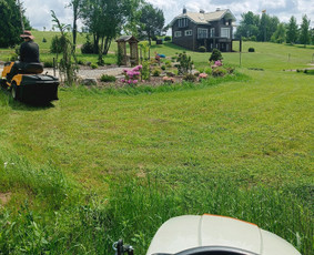 Kokybiškas aplinkos tvarkymas / Aplinkos pulsas / Darbų pavyzdys ID 3962584