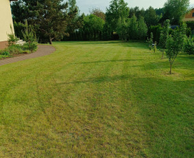 Kokybiškas aplinkos tvarkymas / Aplinkos pulsas / Darbų pavyzdys ID 3962592