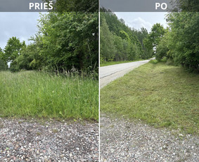 Žolės ir vejos pjovimas vėjapjove ir trimeriu. - Žolės pjovimas - 4 Žolės pjovimas - Žolės ir vejos pjovimas vėjapjove ir trimeriu. - 4