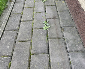 Fasadų, stogų, trinkelių plovimas visoje Lietuvoje! / MB Plovimo meistrai / Darbų pavyzdys ID 3940782