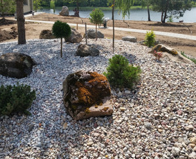 Augalų ir medelių sodinimas - Visi aplinkos tvarkymo darbai, mini technikos nuoma! - 1